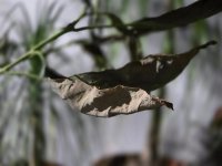 WhatsApp Image 2026-02-20 at 21.37.02.jpeg