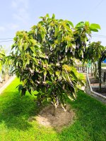 WhatsApp Image 202aaaa6-03-02 at 12.16.19.jpeg