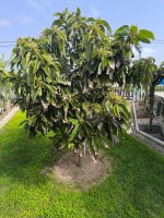 WhatsApp Image 2026-03-02 at 12.16.19.jpeg