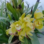 WhatsApp Image 2026-03-30 at 23.50.33 (1).jpeg