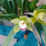 WhatsApp Image 2026-03-30 at 23.50.33.jpeg