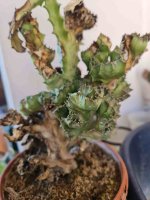 2026-04-03T11_40_04+02_00 (2).jpg