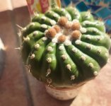 WhatsApp Image 2026-04-04 at 17.39.54.jpeg