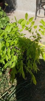 WhatsApp Image 2026-04-05 at 13.10.44 (2).jpeg