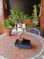 WhatsApp Image 2026-04-09 at 19.18.27.jpeg