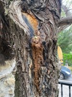 WhatsApp Image 2026-04-14 at 07.58.45.jpeg