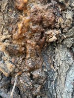 WhatsApp Image 2026-04-14 at 07.58.46.jpeg