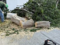 WhatsApp Image 2026-04-15 at 12.13.31 PM.jpeg