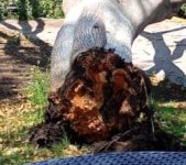 WhatsApp Image 2026-04-15 at 12.13.31 m.jpeg