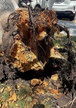 Image 2026-04-20 at 5.51.04 PM.jpg