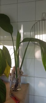20260506_080034.jpg