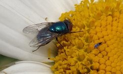 IMG_20260512_124859~2.jpg