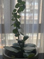IMG_0911.jpeg