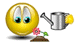 1782324518701.gif