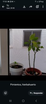 1000212077.jpg 1000212077.jpg