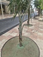 DESC_01 (3).jpeg