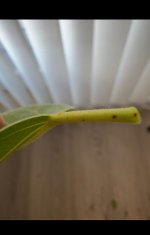 d361a099-311a-4dac-be98-5a9d2474e341.jpeg