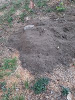 20260731_192218.jpg 20260731_192218.jpg