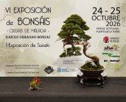 RAICES URBANAS  MALAGA BONSAI.jpg