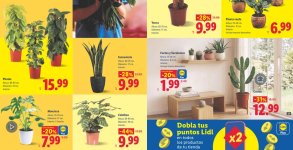lidl1sept.jpg