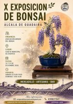 bonsai Alcalá Guadaira 2026.jpg