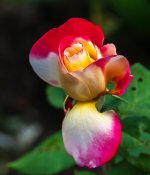 29042026-001.jpg