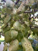 IMG_2180.jpeg