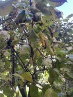 IMG_2182.jpeg