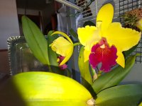 20260924_100715.webp