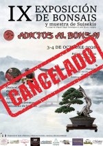 bonsai chipiona cancelado.webp