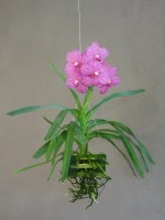 fotografia.webp