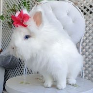 ariadna.rufi.pages@gmail.